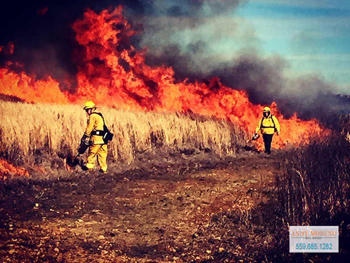 Staying Safe During California’s Wildfire Season